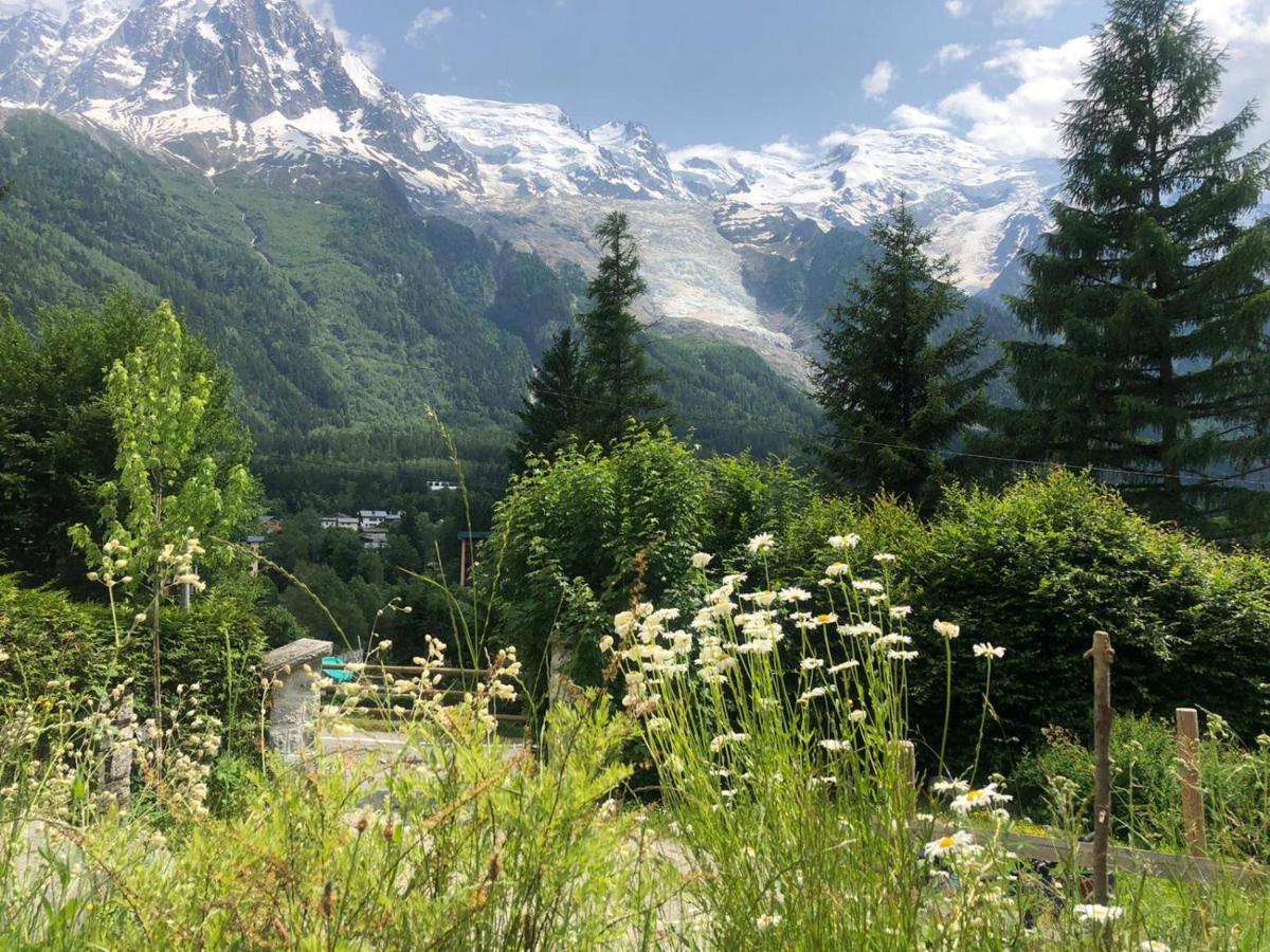 "Chalet Bobo" Cosy & Magnifique Vue Chx Sud Chamonix Eksteriør bilde